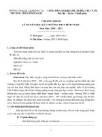 Gián án Chương trình sơ kết học kì I năm học 2010-2011 Bình Ngọc