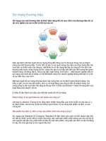 Tài liệu Sứ mạng thương hiệu pptx