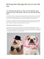 Bí ẩn loại hóa chất giúp tình yêu trở nên vĩnh cửu