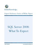 Tài liệu SQL Server 2008: What To Expect doc