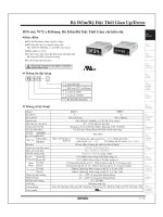 Tài liệu Bộ đếm / bộ đặt thời gian chỉ hiện thị doc