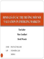 ĐỊNH GIÁ ở các THỊ TRƯỜNG mới nổi VALUATION IN EMERGING MARKETS 