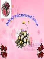 Bài giảng UNIT 10 - LESSON  B1-3 (G6)