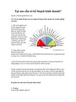 Tài liệu Tại sao cần có kế hoạch kinh doanh? pdf
