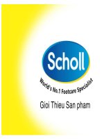 Tài liệu Scholl-Dr Scholl DANG CAP VE GIAY DEP doc