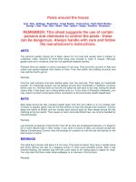 Tài liệu Pests around the house pptx