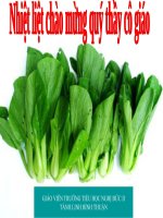 Bài giảng tu nhien xa hoi. bai cay rau