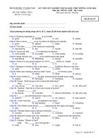 Tài liệu ĐỀ THI CHÍNH THỨC KỲ THI PHỔ THÔNG NĂM 2010 Môn thi: TIẾNG ANH - Hệ 3 năm Mã đề thi 917 docx