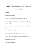 Tài liệu Cấp giấy phép, năng định cho nhân viên điều độ, khai thác bay pdf