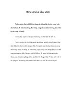 Tài liệu Điều trị bệnh bằng nhiệt doc