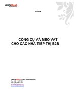 Tài liệu Công cụ và mẹo vặt cho các nhà tiếp thị B2B doc