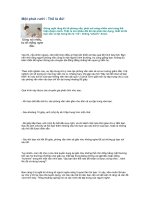 Tài liệu Một phút rưỡi - Thế là đủ! pptx