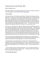 Tài liệu Tổng quan các lĩnh vực trong viễn thông – Phần 1 docx