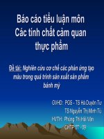Nghiên cứu cơ chế các phản ứng tạo màu trong quá trình sản xuất sản phẩm bánh mỳ 
