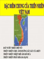 Bài soạn Bài 6: Đất nước nhiều đồi núi - Địa 12