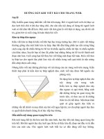 một số lời khuyên khi viết bài cho các trang web