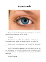 Tài liệu Bệnh của mắt pptx
