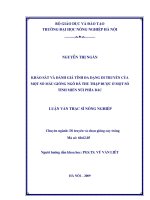 khảo sát đánh giá tính đa dạng di truyền của một số mẫu giống ngô đã thu thập được ở một số tỉnh miền núi phía bắc 