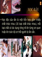 Tài liệu Động vật làm thuốc_Phần 9 doc