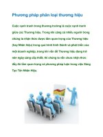 Tài liệu Phương pháp phân loại thương hiệu ppt