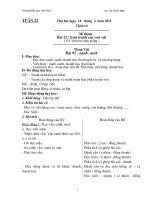 Bài soạn Giáo án tuần 23(10-11)