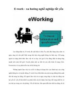 Tài liệu E-work - xu hướng nghề nghiệp tất yếu ppt