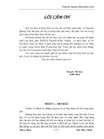 Định lượng Coban(II), Niken(II) trong hỗn hợp bằng phương pháp sắc ký lớp mỏng 