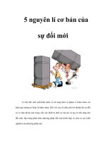 Tài liệu 5 nguyên lí cơ bản của sự đổi mới pptx
