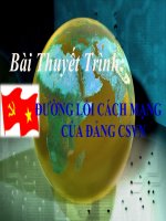 Tài liệu Bài Thuyết Trình đường lối cách mạng ĐCSVN pdf