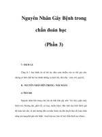 Tài liệu Nguyên Nhân Gây Bệnh trong chẩn đoán học (Phần 3) pptx
