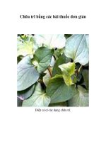 Tài liệu Chữa trĩ bằng các bài thuốc đơn giản pptx