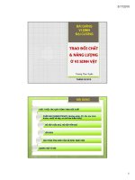 Tài liệu 3/17/2010 BÀI GIẢNG VI SINH ĐẠI CƯƠNG TRAO ĐỔI CHẤT & NĂNG LƯỢNG Ở VI SINH pdf