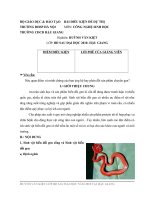 Gián án CONG NGHE SINH HOC