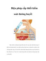 Tài liệu Biện pháp cấp thiết kiểm soát đường huyết pptx