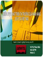 CHIẾN lược PHÁT TRIỂN THỊ TRƯỜNG của NHÃN HÀNG LEVI’S tại VIỆT NAM 