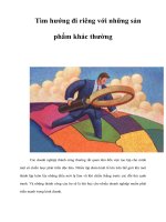 Tài liệu Tìm hướng đi riêng với những sản phẩm khác thường ppt