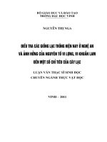 Điều tra các giống lạc trồng hiện nay ở nghệ an và ảnh hưởng của nguyên tố vi lượng, vi khuẩn lam đến một số chỉ tiêu của cây lạc luận văn thạc sĩ sinh học 