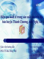 Slide hiệu quả kinh tế trong sản xuất sắn trên địa bàn huyện thanh chương, tỉnh nghệ an 