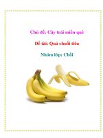 Tài liệu Chủ đề: Cây trái miền quê - Đề tài: Quả chuối tiêu - Nhóm lớp: Chồi pptx