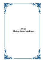 Tài liệu Đồ án tốt nghiệp: Hướng dẫn cơ bản Linux pptx