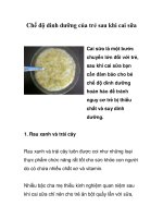 Tài liệu Chế độ dinh dưỡng của trẻ sau khi cai sữa doc