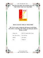 So sánh và đánh giá chất lượng của hệ thống DS CDMA và hệ thống MC CDMA qua kênh pha đinh đa đường và nhiễu 