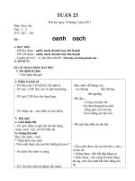 Bài soạn GIÁO ÁN LỚP- TUẦN 23