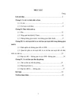 Lí thuyết co rút trong phạm trù các không gian mêtric với các ánh xạ liên tục và liên tục đều địa phương 