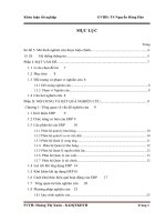 Đánh giá sự hài lòng của nhân viên trực tiếp sử dụng với hệ thống hoạch định nguồn lực doanh nghiệp (ERP) tại công ty TNHH bia huế 