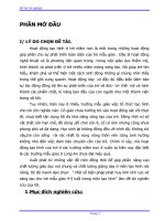 Bài giảng BAI TAP TẠO HÌNH