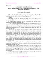 Bài giảng Bai dự thi 