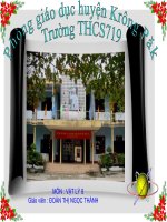 Bài soạn bai 5 su can ban quan tinh