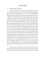 Luận văn những giải pháp chủ yếu nhằm hoàn thiện công tác huy động và cho vay vốn của ngân hàng nông nghiệp và phát triển nông thôn huyện văn lâm hưng yên 