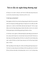 Tài liệu Tái cơ cấu các ngân hàng thương mại pdf